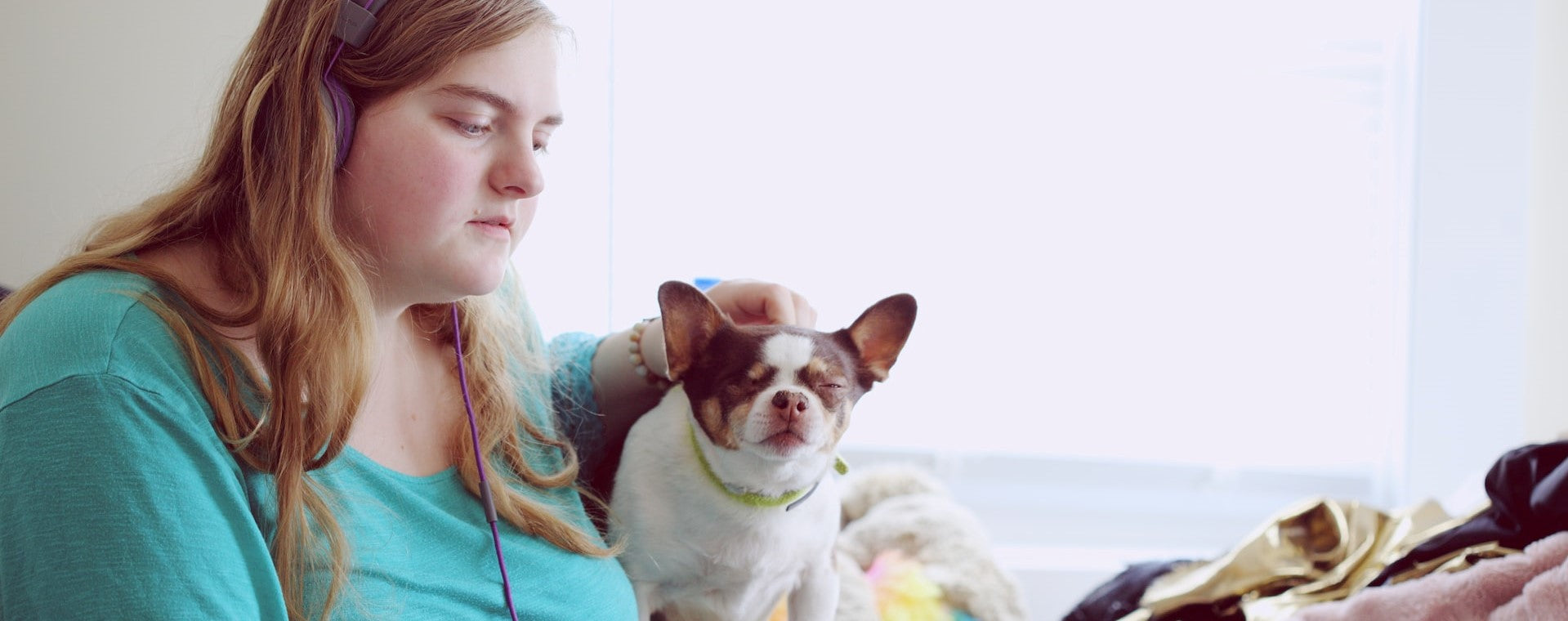 Emotional Support Animal Therapist