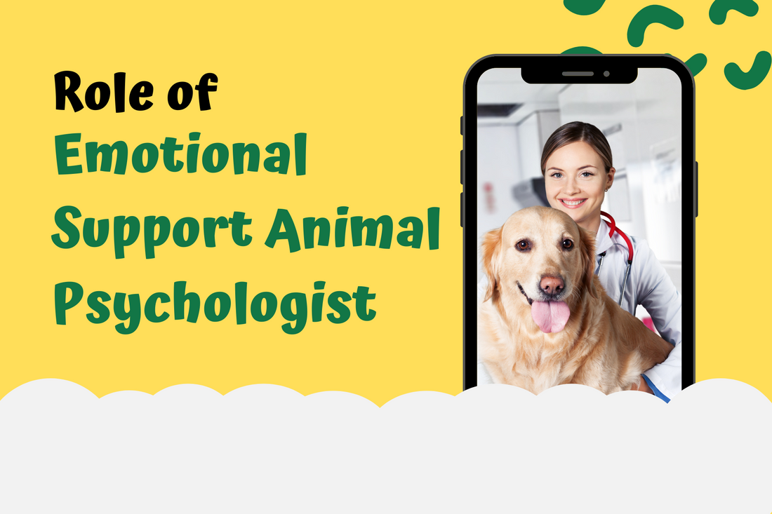 Emotional Support Animal Psychologist