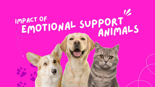The Impact of Emotional Support Animals on Children