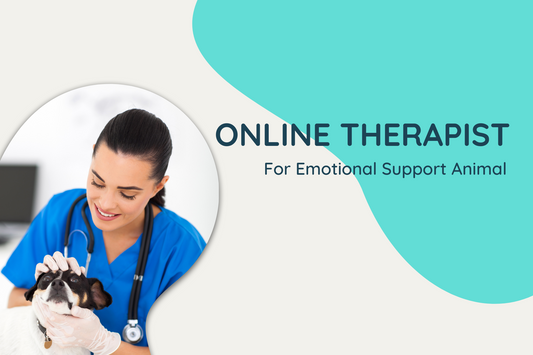 How to Find Online Therapist for Emotional Support Animal?