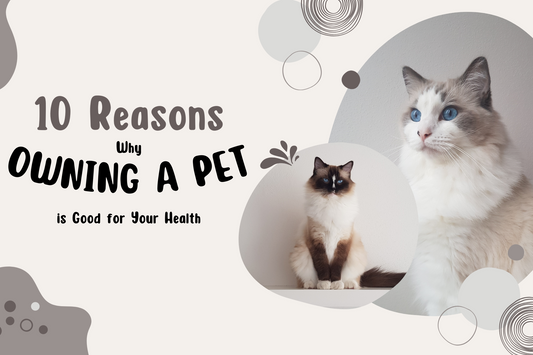 10 Reasons Why Owning a Pet is Good for Your Health and Happiness