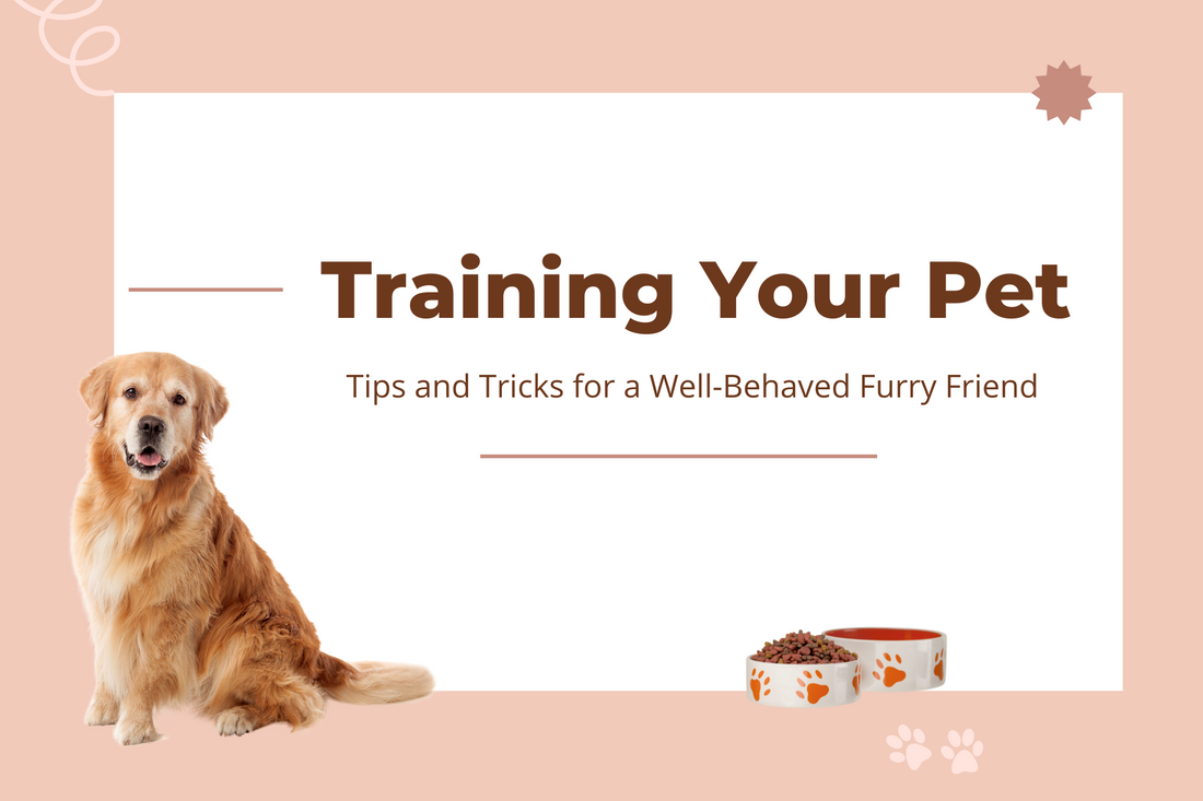Training Your Pet: Tips and Tricks for a Well-Behaved Furry Friend